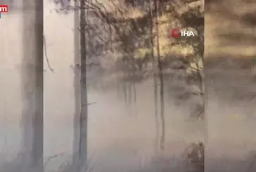 Antalya Kemer’de orman yangını!