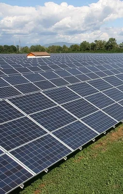 Güneşe akın başladı