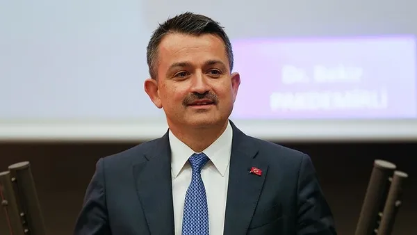 Türk Hava Yolları, günlük uçuş sayılarıyla yeni rekorlar kırmaya devam ediyor (Ekonomi haberleri)-2