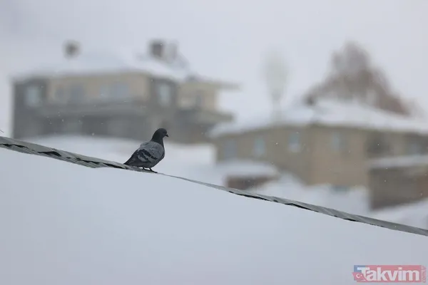 Kar kalınlığı 2 metreyi aştı! Van'ın köylerinde 'beyaz esaret' yaşanıyor - 22
