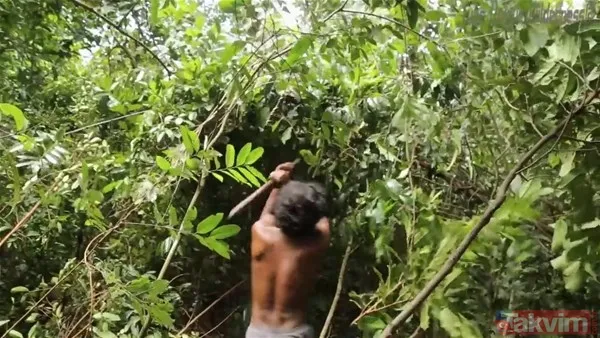 Sadece ağaç kullanarak öyle bir şey yaptı ki! YouTube videosu milyonlar izlendi - 1