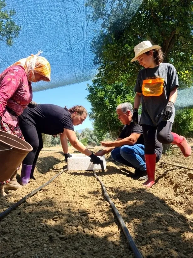 Kilo fiyatı dudak uçuklatıyor! Bankacılığı bıraktı parayı buldu-3