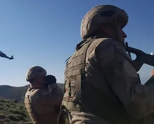 Van’da terör operasyonu