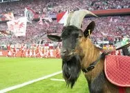 Almanya Bundesliga Ruhr derbisi ile başlıyor! İşte Bundesligada son puan durumu