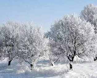 Zemheri ne zaman?