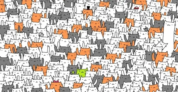 Zeka testi: Kedilerin arasındaki tavşan nerede? 258 kişiden sadece 13'ü başarıyı kaptı