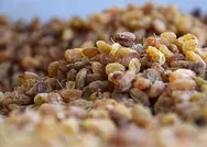 Son dakika: Tarım ve Orman Bakanı Bekir Pakdemirli Giresunda müjdeyi verdi: Yarın hesaplara yatıracağız