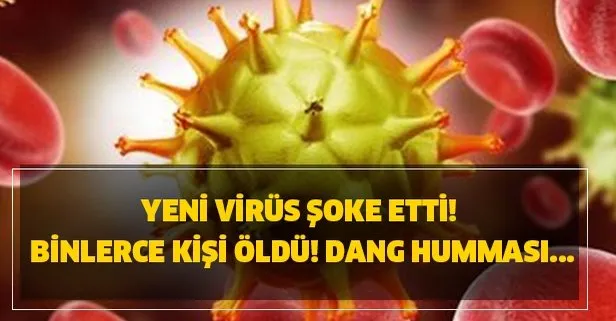Yeni virüs şoke etti! Binlerce kişi öldü... Dang humması...