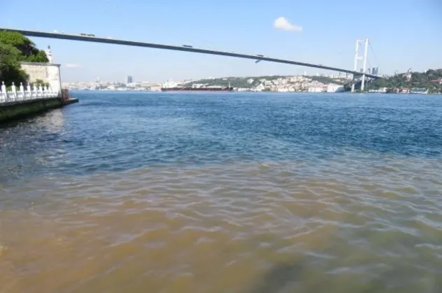 Marmara Denizi'nde deniz salyası temizleme çalışması devam ederken İstanbul Beylerbeyi sahili kahverengi oldu