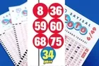 Çılgın Sayısal Loto 494 milyon devretti
