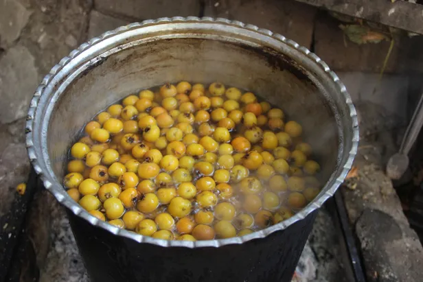 fiyati-sasirtacak-cinsten-hasadini-yapanlar-simdi-paraya-para-demiyor-her-derde-deva-1601746936594.jpg Fiyatı şaşırtacak cinsten! Hasadını yapanlar şimdi paraya para demiyor! Her derde deva...-5