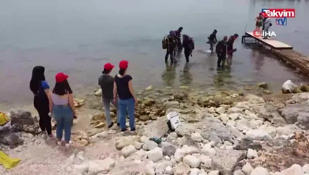 Akdeniz'de dikenli zehirli istilacı deniz kestanesi tehlikesi