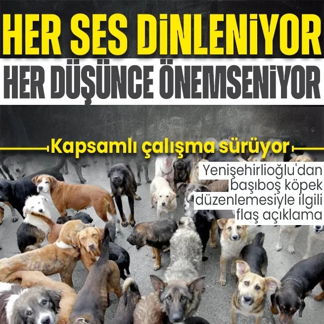 AK Parti Grup Başkanvekili Bahadır Yenişehirlioğlu’dan başıboş köpek düzenlemesiyle ilgili açıklama: Her sesi dinliyor, her düşünceyi önemsiyoruz