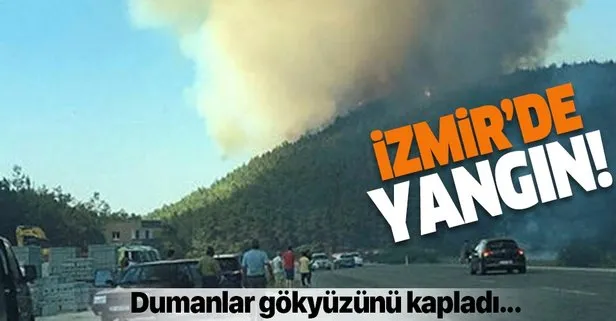 Son dakika: İzmir Menderes’te yangın!
