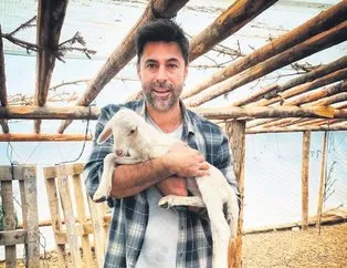 Sen hiç kuzu sevdin mi?