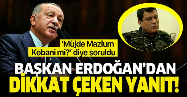 Başkan Erdoğan'dan "Müjde dediğiniz Mazlum Kobani mi?" sorusuna dikkat çeken yanıt