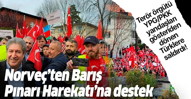 Norveç'te Barış Pınarı Harekatı'na destek gösterisi