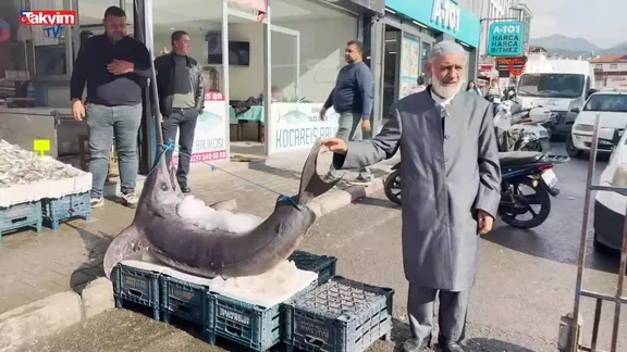Hatay 138 kiloluk dev kiloluk kılıç balığı!