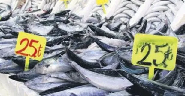 Balık fiyatları düşüş devam ediyor! 20 TL’ye sardalya 25 TL’ye palamut