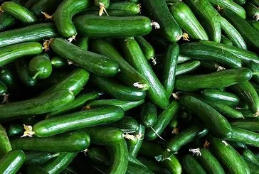 Salatalığın faydaları nelerdir?