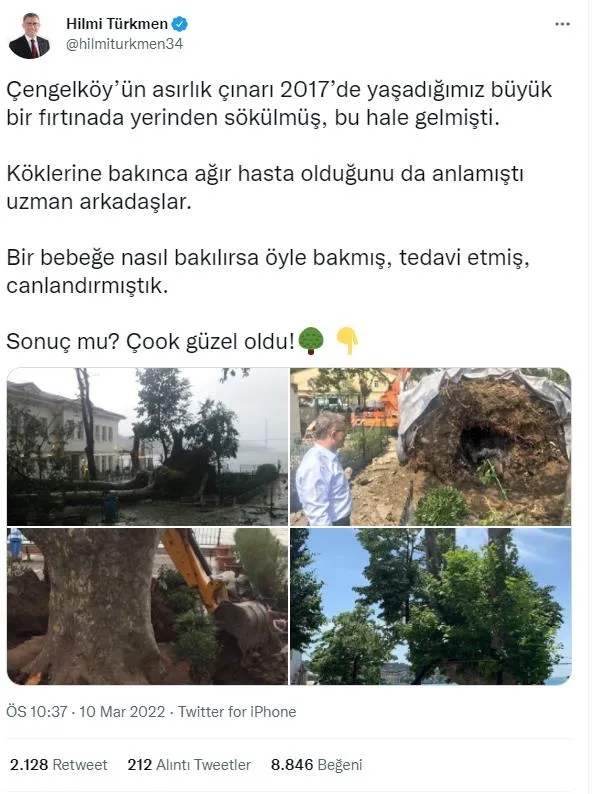 CHP'li İBB İstanbul'un bir güzelliğini daha yok etti: Çırağan Caddesi'nde ağaç katliamı: 112 tanesi kesildi! Tepkiler çığ gibi-6