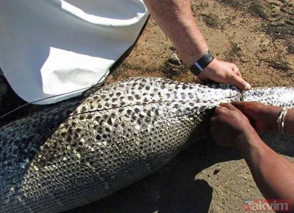 Duvarın içinden gelen seslerden ilallah etti sonunda paramparça etti! Gördükleri karşısında kalbi yerinden çıkacaktı - 13