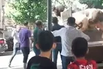 Kasaba kamyon kasasında şok! Boğa saldırdı neye uğradığını şaşırdı