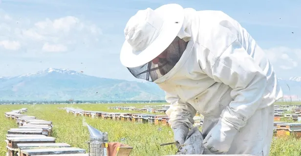 Bal üretiminde dünya ikincisiyiz