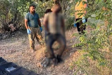 Korkunç görüntüler! Ağaca asılmış erkek cesedi bulundu