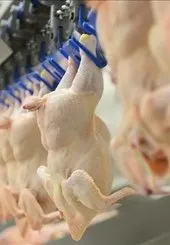 Son dakika: Ticaret Bakanlığı’ndan tavuk eti ihracatı kararı!