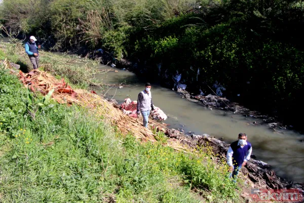 Adana'da iğrenç manzara! Dere yatağında çok sayıda at ve eşek kafası ile kemikler bulundu - 13