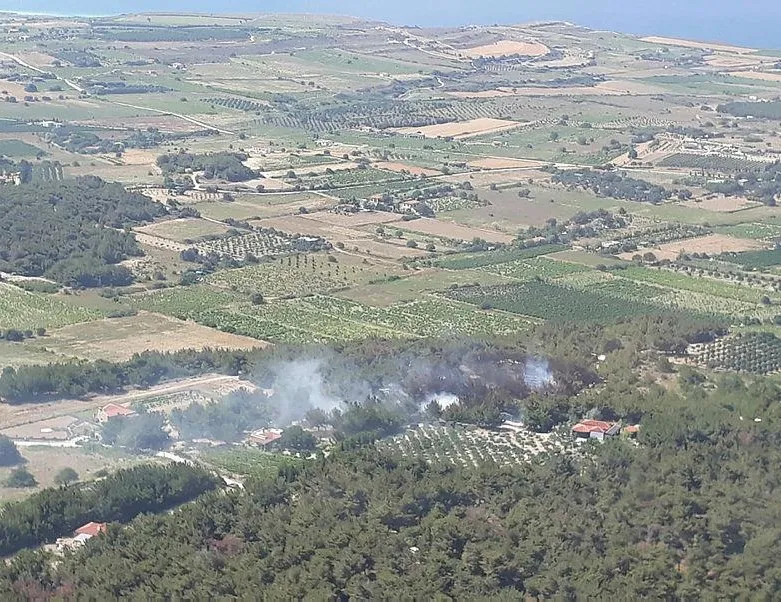 Bozcaada’da ormanlık alanda yangın!
