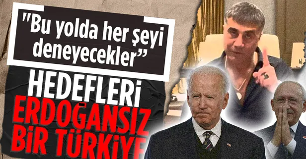 Organize saldırıların hedefinde Erdoğansız bir Türkiye var! "Bu yolda her şeyi deneyecekler"