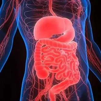 Kirli hava sindirimi vurur