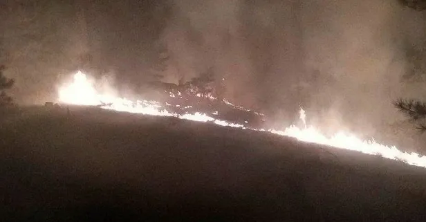 Muğla Köyceğiz'de orman yangını! Çok sayıda ekip sevk edildi