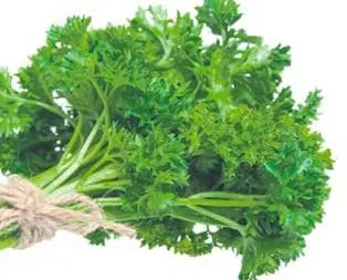 Böbreklere yeşil mucize