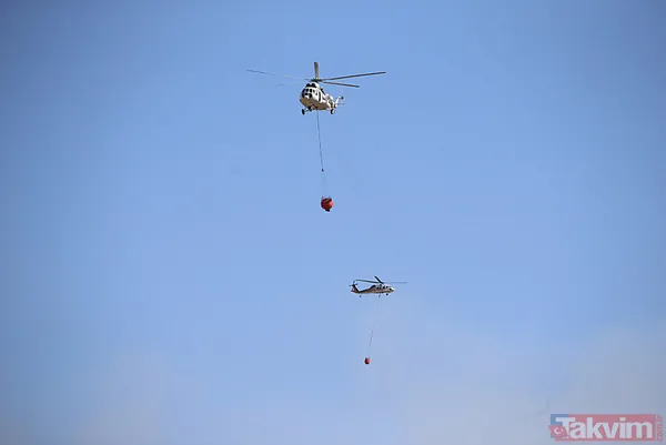 Bodrum'da orman yangını! "2024 yılının en ciddi yangınlarındandı" Kontrol altına alındı - 3