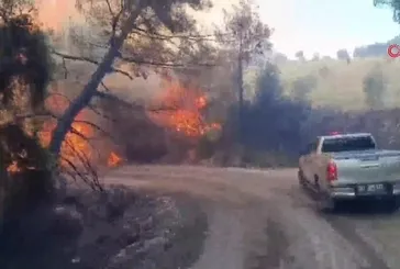 Adana Kozan'da orman yangını