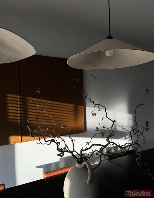 Yasemin Ergene Beykoz'da yeni hayatına başladı: Aylık 20 bin dolarlık lüks villa paylaşımı - 14