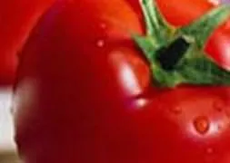 Pazarcı yüksek fiyata alıştı