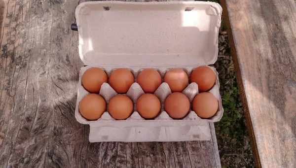 Yumurta satışında damga uygulaması başlıyor-6