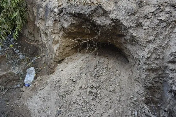 Aydın Nazilli'de heyelan sonrası inşaat temelinden kafatası ve kemikler çıktı-1