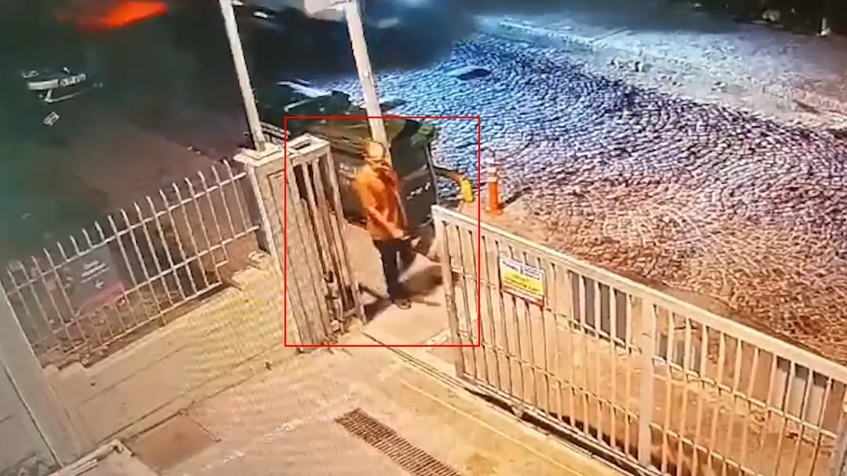 FATİH'TE BAŞIBOŞ SOKAK KÖPEĞİ DEHŞETİ: Sokak köpekleri zihinsel engelli genci parçalayarak öldürdü! Ayhan Özçelik'in son anları kamerada!