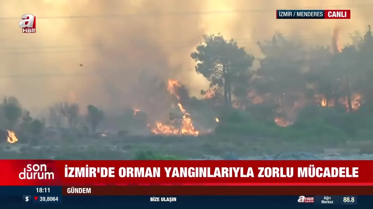 İzmir'de alevlerle mücadelede 2. gün