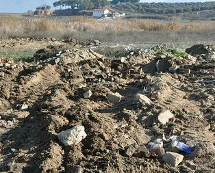 Marmara Gölü’nde korkunç manzara!