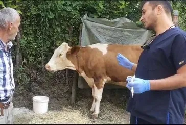 Zonguldak’ta 120 köy karantinaya alındı