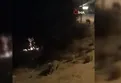 Muğla'da domuz sürüsü böyle görüntülendi