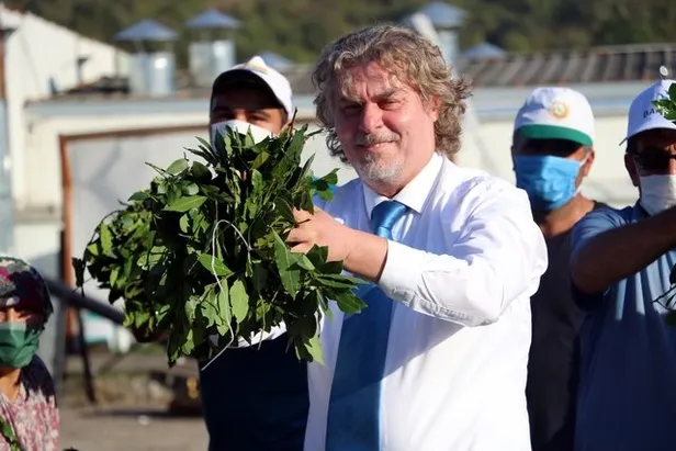 Ülkemizde oldukça bol bulunuyor... Ayda 5000 - 6000 TL kazanıyorlar!-4