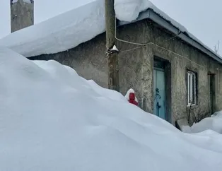 Ağrı’da evler kara gömüldü
