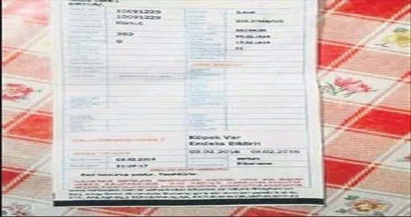 Hepimiz yanlış biliyormuşuz! Bunu yapın düşük fatura ödeyin! İşte doğalgaz faturasını 50 lira düşürecek yöntemler!-6